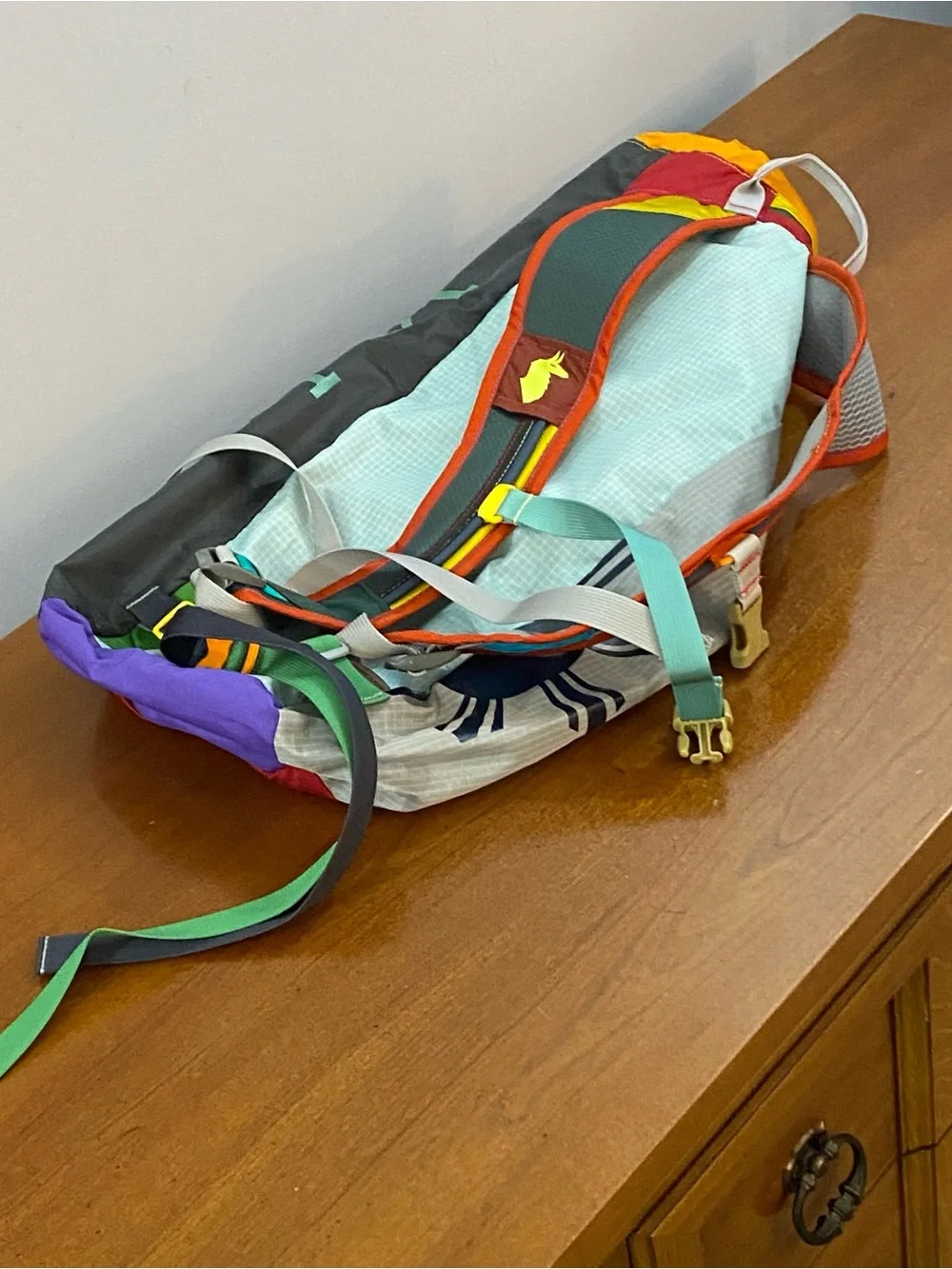 Cotopaxi Luzon 18L Daypack - Del Día Multicolor Backpack Hiking Outdoors NWT - Picture 8 of 16